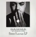 12'' - Stefano Gamma - House Flavor E.P