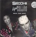 12inch Vinyl Single - Stefano Secchi - Break Your Heart / Think (About It)