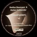 10'' - Steffen Baumann & Stefan Hollaender - Bisahalani