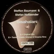 Steffen Baumann & Stefan Hollaender