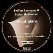 Steffen Baumann & Stefan Hollaender - Bisahalani