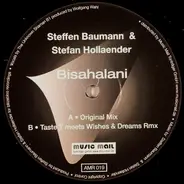 Steffen Baumann & Stefan Hollaender - Bisahalani