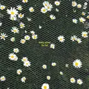 Double LP - Stefny - The Fall