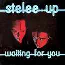 12inch Vinyl Single - Stelee-Up - Waiting For You