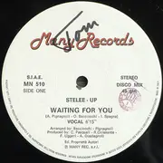 12inch Vinyl Single - Stelee-Up - Waiting For You