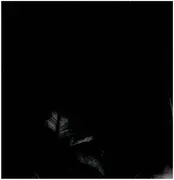 Double LP - Sten - The Essence