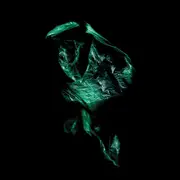 Double LP - Stenny - Upsurge