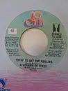 7inch Vinyl Single - Stephanie De-Sykes - Trying To Get The Feeling