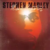 stephen marley