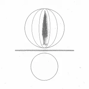 Stephen O'Malley - Spheres Collapser