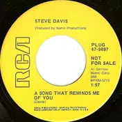 Stephen Allen Davis - A Song That Reminds Me Of You