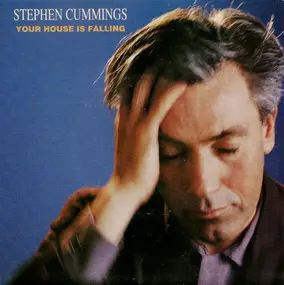 Stephen Cummings - Your House Is Falling