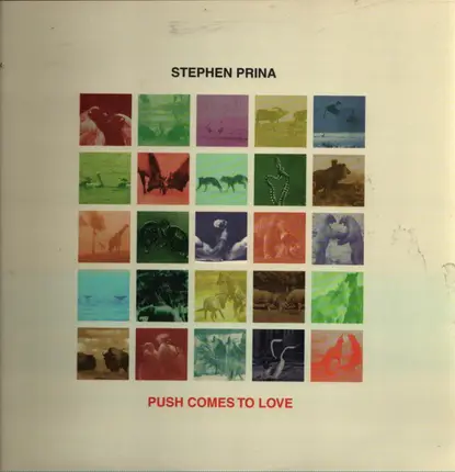 Stephen Prina - Push Comes to Love