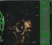 CD - Stephen Prina - Vinyl II
