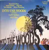 LP - Stephen Sondheim - Into The Woods—Original Cast Recording - +booklet