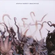 LP - Stephin Merritt - Obscurities