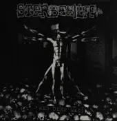 Sterbehilfe - Wer Oder Was?