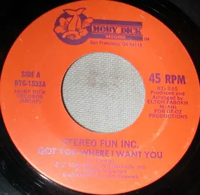 stereo fun inc. - Got You Where I Want You