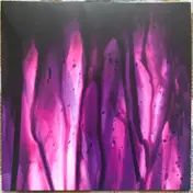 Stereocilia - The Silence That Follows