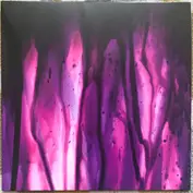 Stereocilia