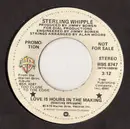 7inch Vinyl Single - Sterling Whipple - What Do You Do With Your Hands - promo