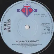 7inch Vinyl Single - Still Waters - Carry Me