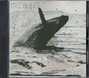 CD - Still Blind - Whales
