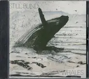 Still Blind - Whales