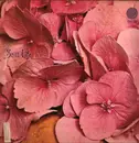 LP - Still Life - Still Life - 1st German Pressing