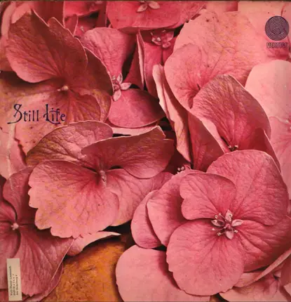 Still Life - Still Life