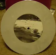 7inch Vinyl Single - Stillmotion - The Fall - Gray Marbled