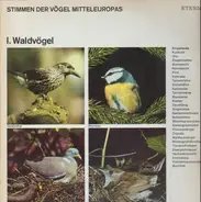 Stimmen Der Vögel Mitteleuropas - 1. Waldvögel