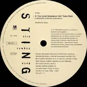 12inch Vinyl Single - Sting - This Cowboy Song