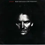 7inch Vinyl Single - Sting - Why Should I Cry For You?