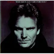 12inch Vinyl Single - Sting - Why Should I Cry For You?