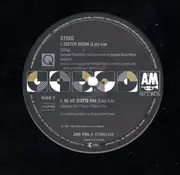 12inch Vinyl Single - Sting - Why Should I Cry For You?