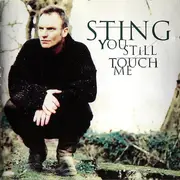 CD Single - Sting - You Still Touch Me