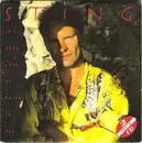 CD Single - Sting - If I Ever Lose My Faith In You - Cardboard sleeve