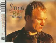 Sting Featuring Cheb Mami - Desert Rose