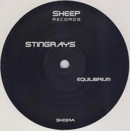 Stingrays - Equilibrium