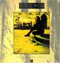 LP - Sting - Ten Summoner's Tales - black labels