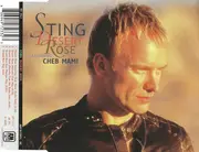 CD Single - Sting Featuring Cheb Mami - Desert Rose