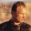 CD Single - Sting Featuring Cheb Mami - Desert Rose - Cardboard Sleeve