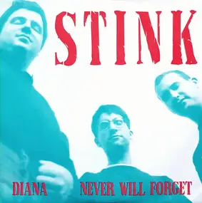 The Stink - Diana / Never Will Forget