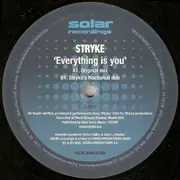 12inch Vinyl Single - Stryke - Everything Is You