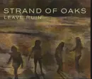 CD - Strand Of Oaks - Leave Ruin - Digipak
