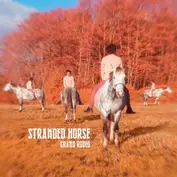 Stranded Horse