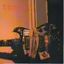 CD - Stranglmartin - For The Sake Of Argument