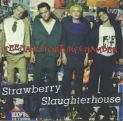 CD - Strawberry Slaughterhouse - Teenage Torturechamber