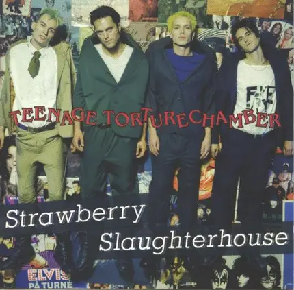 Strawberry Slaughterhouse - Teenage Torturechamber